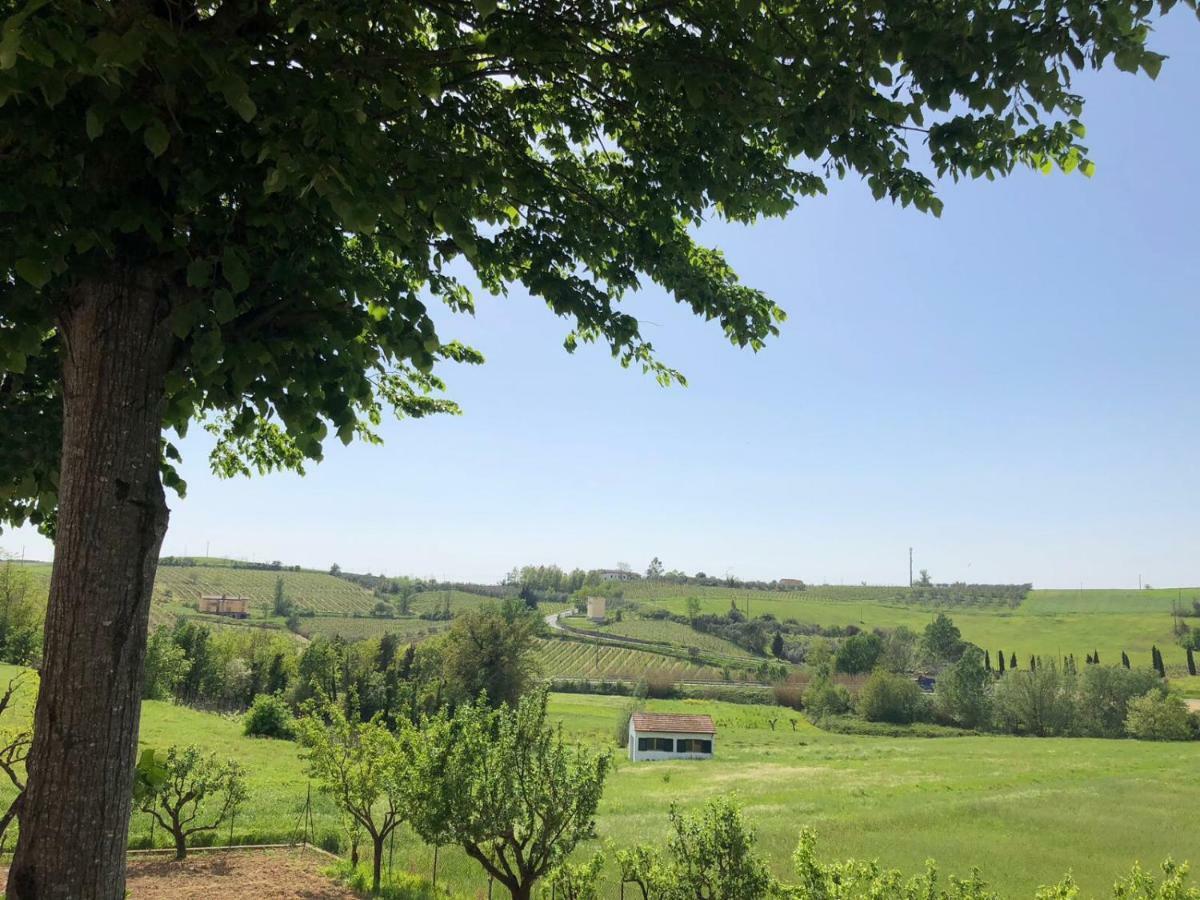 Le Case Di Cinzia Vinci Buitenkant foto